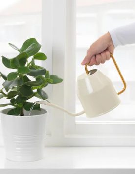 vattenkrasse-watering-can-ivory-gold-colour__0901102_pe687035_s5