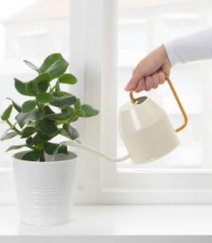 vattenkrasse-watering-can-ivory-gold-colour__0901102_pe687035_s5